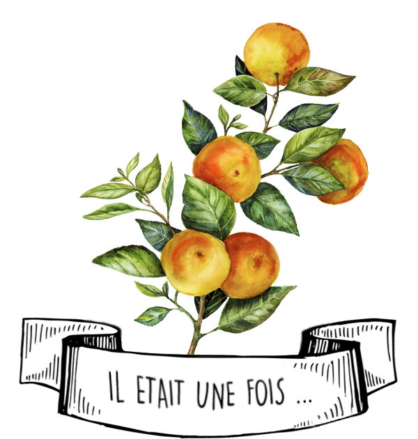 Olyaris - Huile Essentielle de Mandarine : Tout savoir